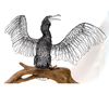 Colleen Cotey wire sculpture